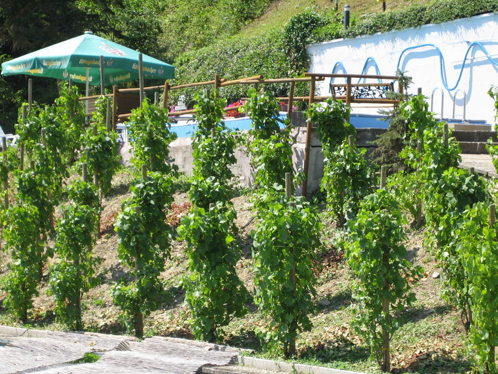 万豪斯特赖斯乡村酒店 Weinähr 外观 照片